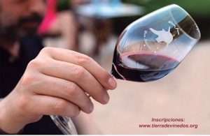 Cata de Vinos didáctica en Ontur