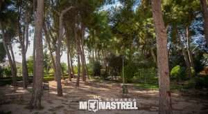 El Ayuntamiento de Albatana recomienda no pasear por el parque ante cualquier caída de ramas o árboles