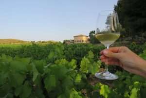 Enoturismo Mainetes, un lugar para relajarse entre viñedos