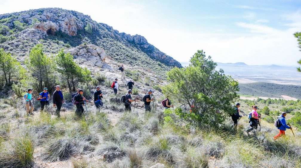 Imagen de la ruta senderista de Ontur 2024