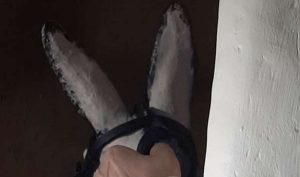 Fragmento del cartel del acto