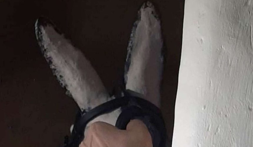 Fragmento del cartel del acto