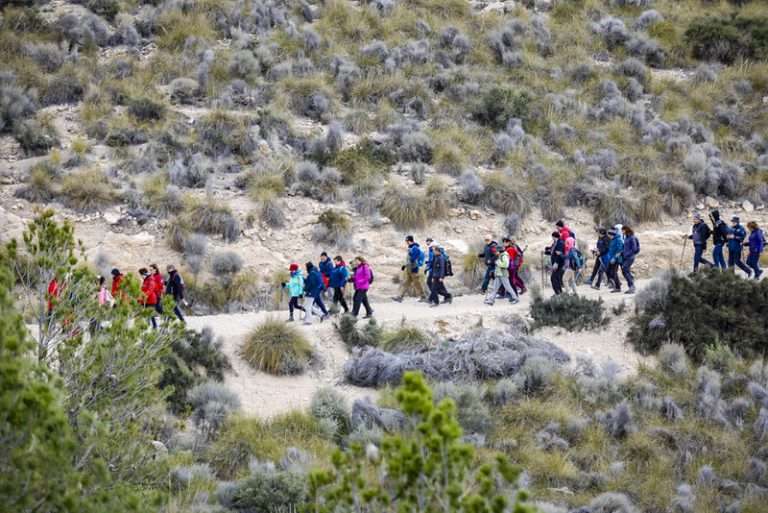 Ruta senderista de Ontur 2025