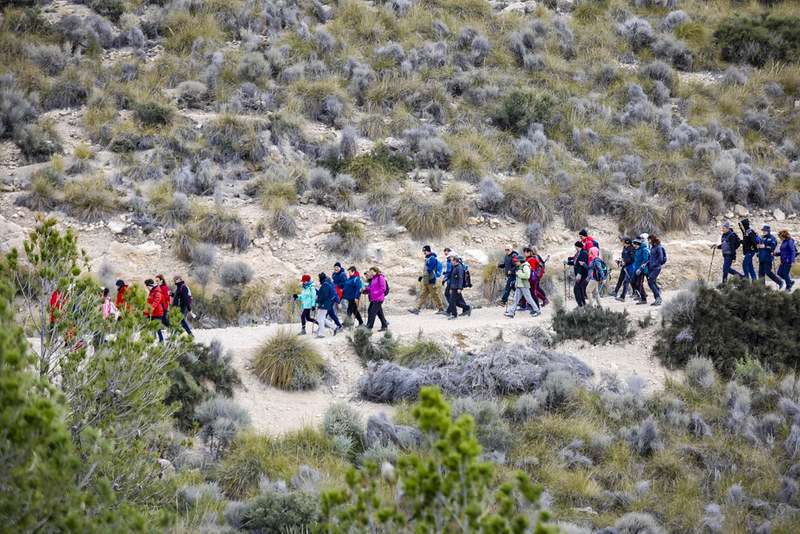 Ruta senderista de Ontur 2025